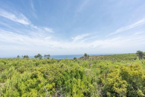 Działka Javea, Alicante, Hiszpania 35 mkw. nr 80700 – zdjęcie 12