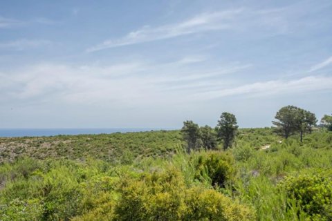 Działka Javea, Alicante, Hiszpania 35 mkw. nr 80700 – zdjęcie 2