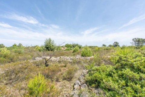 Działka Javea, Alicante, Hiszpania 35 mkw. nr 80700 – zdjęcie 8