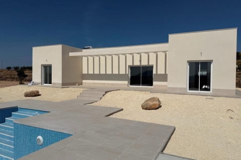Villa in Pinoso, Alicante, Spanien 3 Schlafzimmer, 120 m2 Nr. 151680