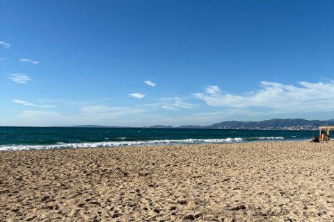 Land in Palma de Majorca, Mallorca, Spanien Nr. 155190