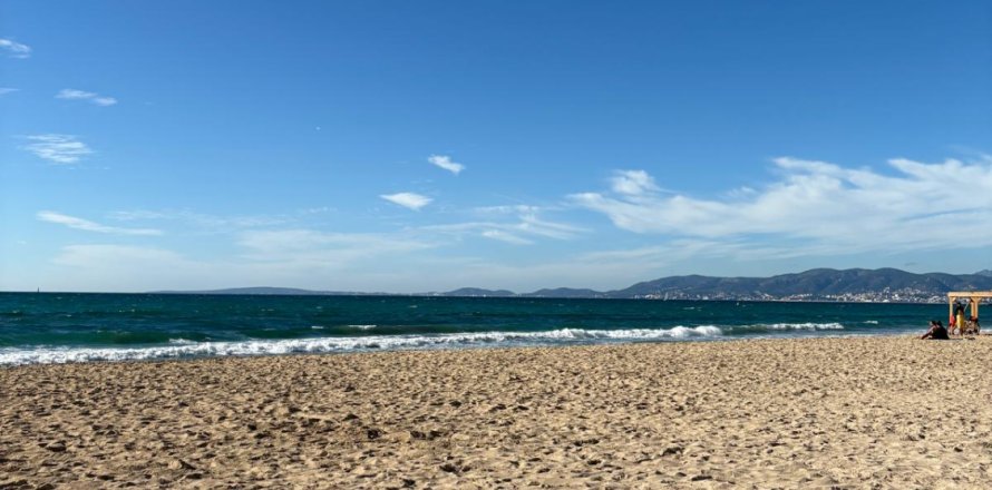 Land in Palma de Majorca, Mallorca, Spanien Nr. 155190