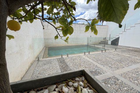 Аренда таухауса в Муро, Майорка, Испания 3 спальни, 334м2 №155191 - фото 3