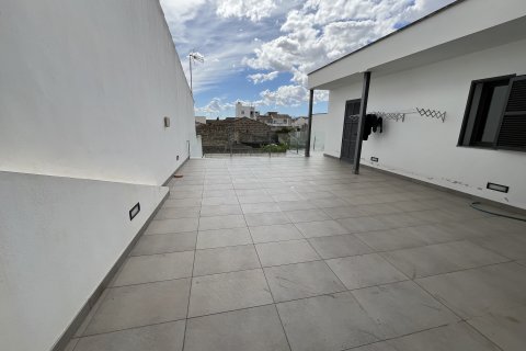 Аренда таухауса в Муро, Майорка, Испания 3 спальни, 334м2 №155191 - фото 27