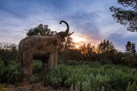 Kontor till salu i Algaida, Mallorca, Spanien 4 sovrum, 634 kvm. Nr. 155193 - foto 28