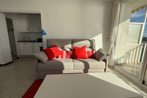 Dzīvoklis īrēšanai Cala Ratjada, Mallorca, Spānijā 2 istabas, 76 m2 Nr. 155188 - attēls 4