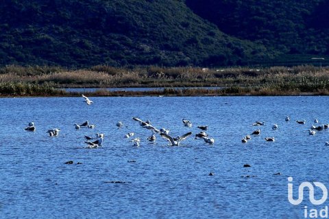 Komerciāls īpašums pārdošanā Pego, Alicante, Spānijā 270 m2 Nr. 154259 - attēls 21