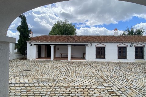 Terreno in vendita a Hornachuelos, Cordoba, Spagna 10000000 mq. N° 154007 - foto 12