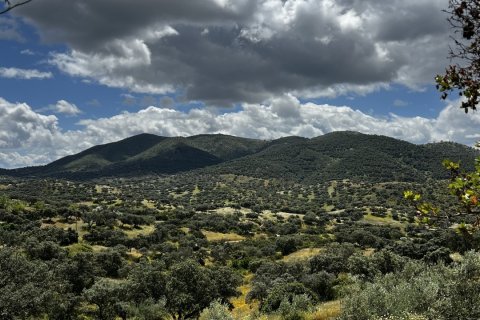 Terreno in vendita a Hornachuelos, Cordoba, Spagna 10000000 mq. N° 154007 - foto 2