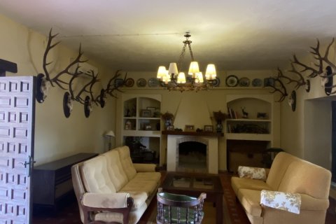 Terreno in vendita a Hornachuelos, Cordoba, Spagna 10000000 mq. N° 154007 - foto 10