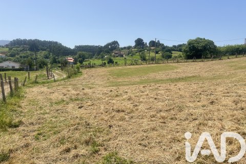 Działka w Castrillon, Asturias, Hiszpania 1292 mkw. nr 184674 – zdjęcie 28