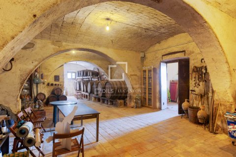 Casa in vendita a Sant Vicenc De Montalt, Barcelona, Spagna 16 camere da letto, 1003 mq. N° 160829 - foto 5