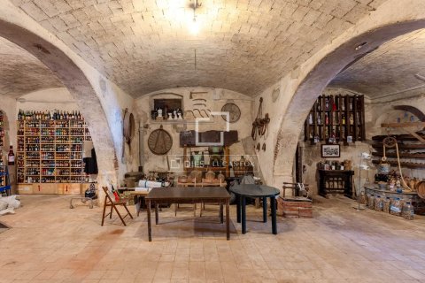 Casa in vendita a Sant Vicenc De Montalt, Barcelona, Spagna 16 camere da letto, 1003 mq. N° 160829 - foto 30