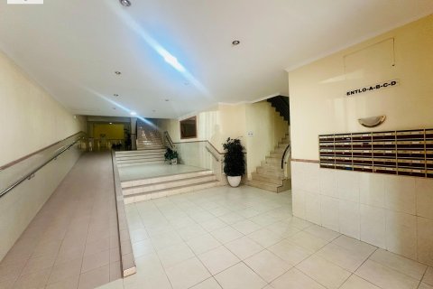 Huoneisto vuokrattavana Campoamor, Alicante, Espanja, 3 makuuhuonetta, 90 m2 No. 147573 - kuva 23