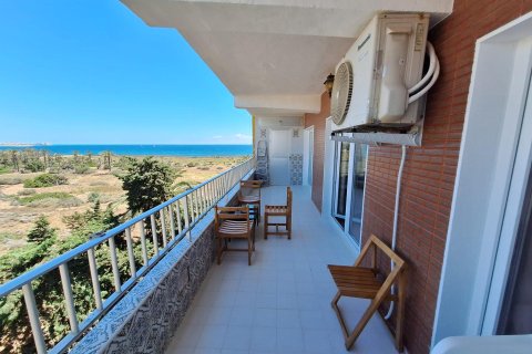 Huoneisto vuokrattavana Torrevieja, Alicante, Espanja , 89 m2 No. 147574 - kuva 14