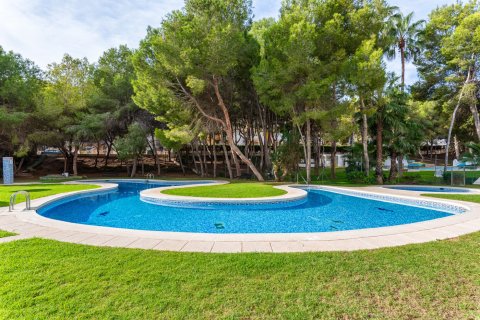 Dzīvoklis pārdošanā Alicante, Spānijā 3 istabas, 78 m2 Nr. 149464 - attēls 20