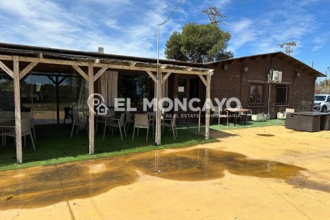 Commercial property for sale in Guardamar del Segura, Alicante, Spain No. 149076 - photo 8