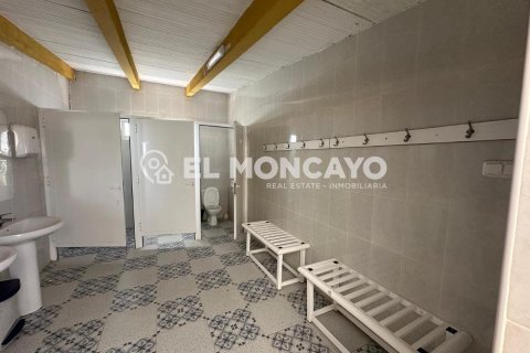 Commercial property for sale in Guardamar del Segura, Alicante, Spain No. 149076 - photo 22