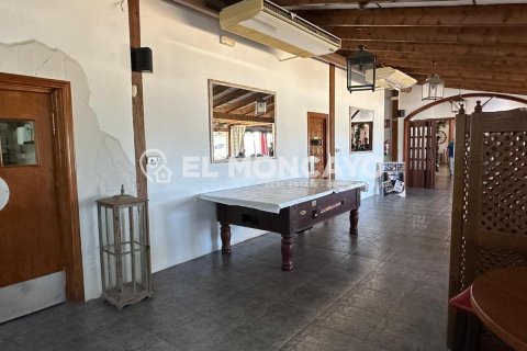 Commercial property for sale in Guardamar del Segura, Alicante, Spain No. 149076 - photo 6