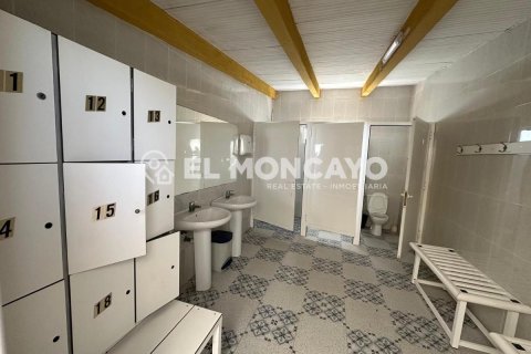Commercial property for sale in Guardamar del Segura, Alicante, Spain No. 149076 - photo 21