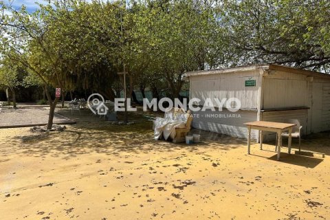Commercial property for sale in Guardamar del Segura, Alicante, Spain No. 149076 - photo 10