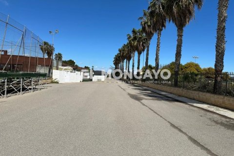 Commercial property for sale in Guardamar del Segura, Alicante, Spain No. 149076 - photo 26