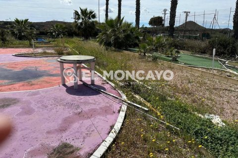 Commercial property for sale in Guardamar del Segura, Alicante, Spain No. 149076 - photo 29