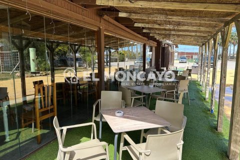 Commercial property for sale in Guardamar del Segura, Alicante, Spain No. 149076 - photo 2