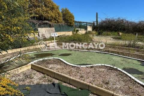 Commercial property for sale in Guardamar del Segura, Alicante, Spain No. 149076 - photo 28