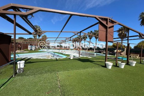 Commercial property for sale in Guardamar del Segura, Alicante, Spain No. 149076 - photo 3