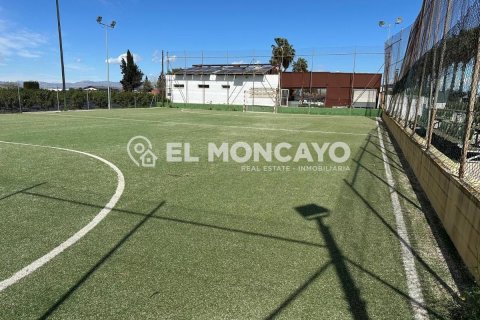 Commercial property for sale in Guardamar del Segura, Alicante, Spain No. 149076 - photo 11