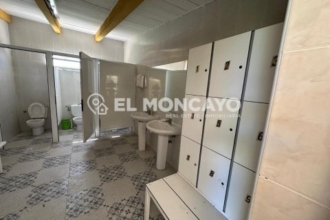Commercial property for sale in Guardamar del Segura, Alicante, Spain No. 149076 - photo 23