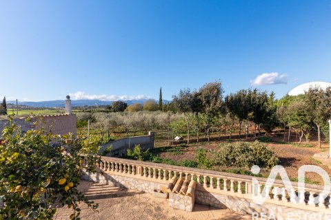 House zum Verkauf in Santa Eugenia, Mallorca, Spanien 5 Schlafzimmer, 344 m2 Nr. 172196 - Foto 8