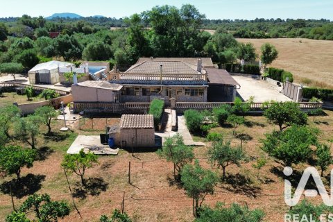 House zum Verkauf in Santa Eugenia, Mallorca, Spanien 5 Schlafzimmer, 344 m2 Nr. 172196 - Foto 4
