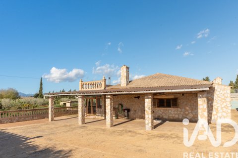 House zum Verkauf in Santa Eugenia, Mallorca, Spanien 5 Schlafzimmer, 344 m2 Nr. 172196 - Foto 11
