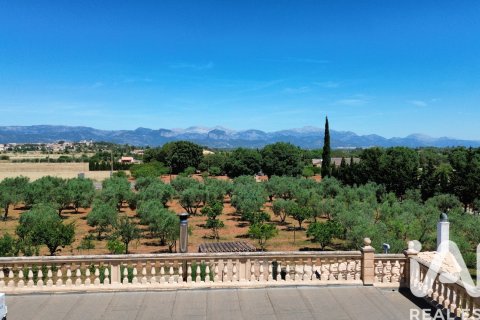 House zum Verkauf in Santa Eugenia, Mallorca, Spanien 5 Schlafzimmer, 344 m2 Nr. 172196 - Foto 9