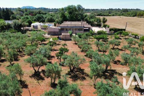 House zum Verkauf in Santa Eugenia, Mallorca, Spanien 5 Schlafzimmer, 344 m2 Nr. 172196 - Foto 5