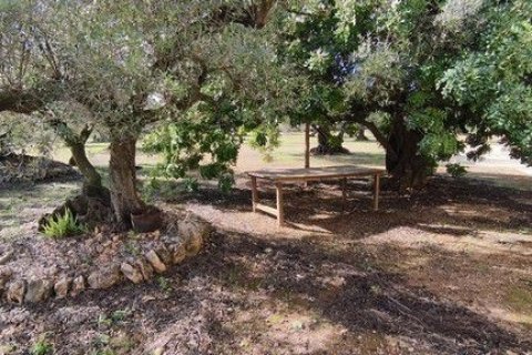 Land zum Verkauf in Roquetes, Tarragona, Spanien 34000 m2 Nr. 185208 - Foto 2