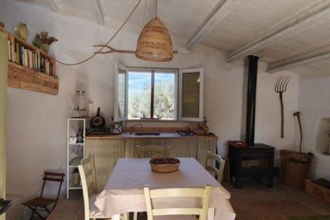 Land zum Verkauf in Roquetes, Tarragona, Spanien 34000 m2 Nr. 185208 - Foto 4