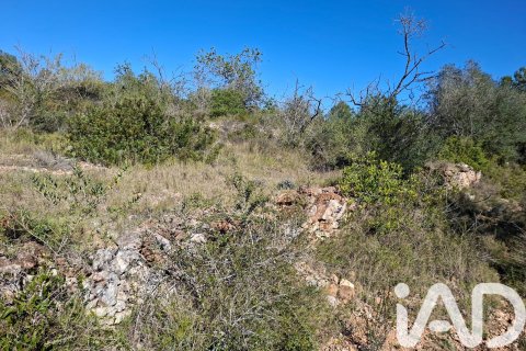 Gewerbeimmobilien zum Verkauf in Ulldecona, Tarragona, Spanien Nr. 185212 - Foto 14