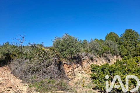Gewerbeimmobilien zum Verkauf in Ulldecona, Tarragona, Spanien Nr. 185212 - Foto 6