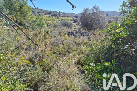 Gewerbeimmobilien zum Verkauf in Ulldecona, Tarragona, Spanien Nr. 185212 - Foto 12