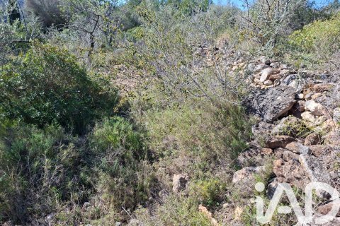 Gewerbeimmobilien zum Verkauf in Ulldecona, Tarragona, Spanien Nr. 185212 - Foto 8