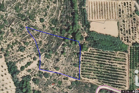Gewerbeimmobilien zum Verkauf in Ulldecona, Tarragona, Spanien Nr. 185212 - Foto 23