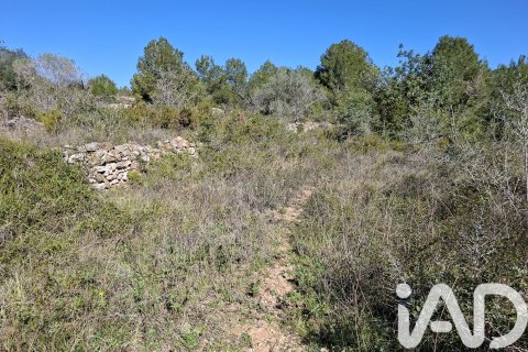 Gewerbeimmobilien zum Verkauf in Ulldecona, Tarragona, Spanien Nr. 185212 - Foto 20