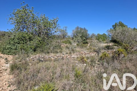 Gewerbeimmobilien zum Verkauf in Ulldecona, Tarragona, Spanien Nr. 185212 - Foto 16