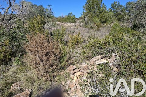 Gewerbeimmobilien zum Verkauf in Ulldecona, Tarragona, Spanien Nr. 185212 - Foto 19