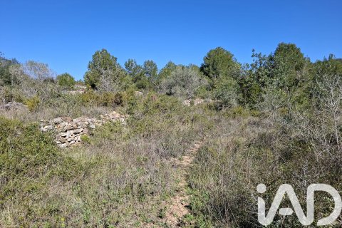 Gewerbeimmobilien zum Verkauf in Ulldecona, Tarragona, Spanien Nr. 185212 - Foto 17