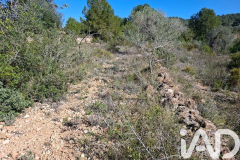 Gewerbeimmobilien zum Verkauf in Ulldecona, Tarragona, Spanien Nr. 185212 - Foto 5