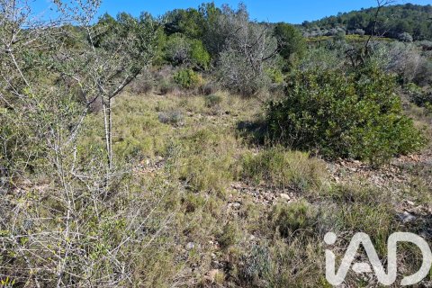 Gewerbeimmobilien zum Verkauf in Ulldecona, Tarragona, Spanien Nr. 185212 - Foto 15
